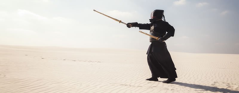 The Science of PPM Mastery via Japanese Martial Arts - Wellingtone PPM