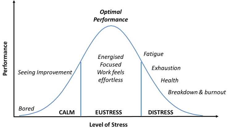 Yerkes-Dodson Curve Human Performance Curve Under Stress